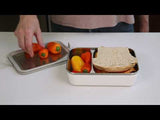 Rise Food Box 1005 ml / 34 oz - Meal
